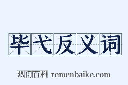 毕弋反义词是什么意思的图片